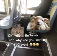 kei / marcy (à lumiose!) tweet media