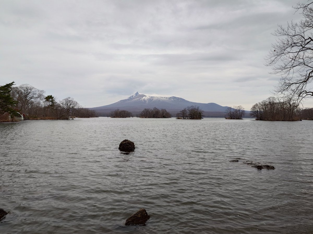 TOMMY EXPRESS TRAIN tweet media