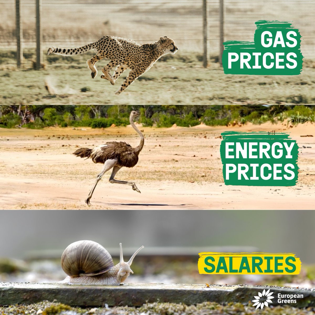 European Greens tweet media