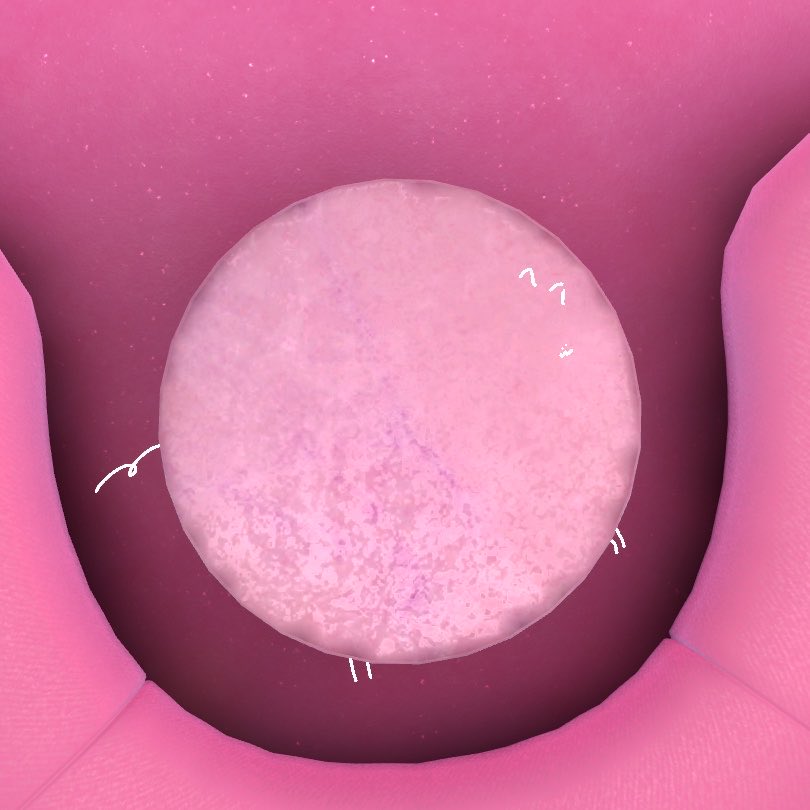 ViVi🍋 tweet media