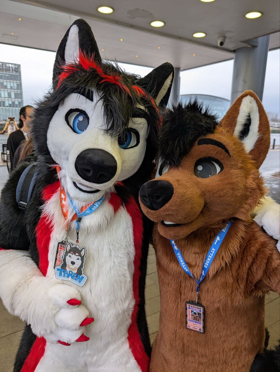 Starfirewolfie's tweet photo. Husky 🥰
@TarenHusky 
🪡 @GoFurItstudios 
📸 @JaxxShepherd 
#FursuitFriday https://t.co/Dr2sX79ViO