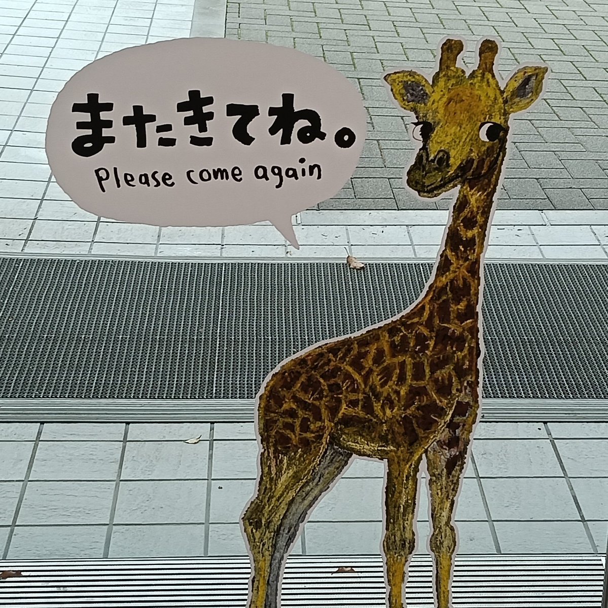 パンダバ tweet media