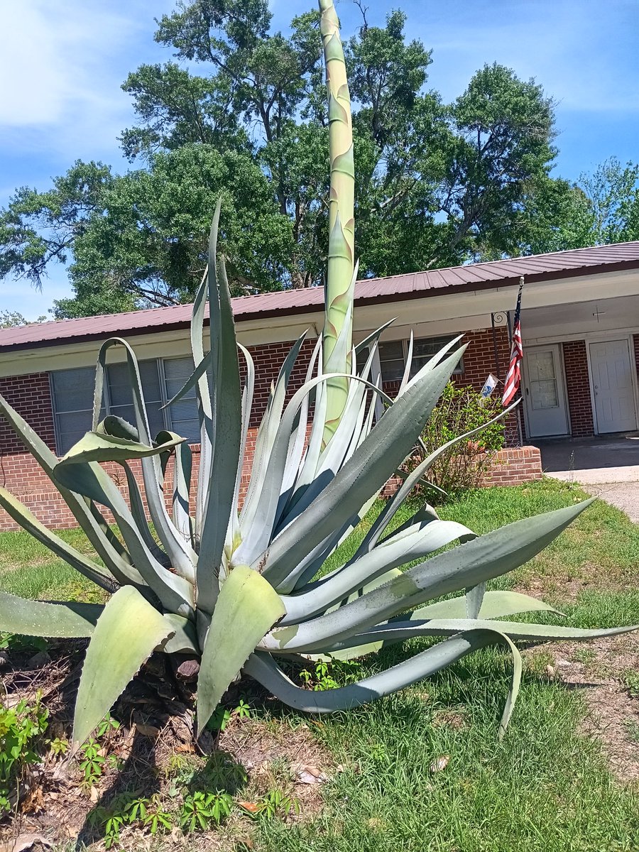 Shannon Sherrell tweet media