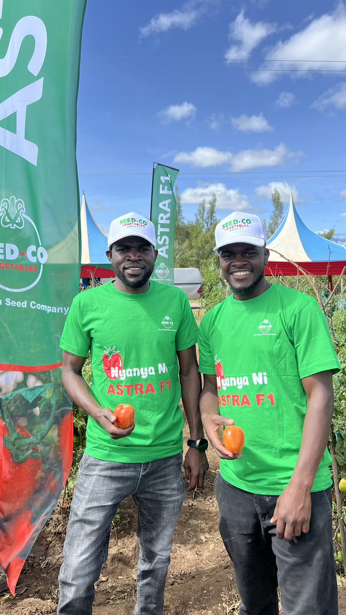 Seed Co Kenya tweet media