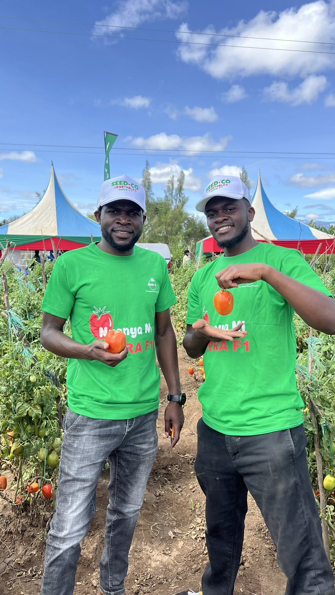 Seed Co Kenya tweet media