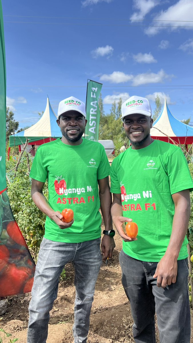 Seed Co Kenya tweet media