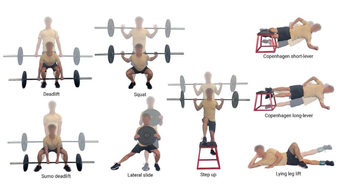 ExploredPhysio's tweet image. Hip Adductor Muscle Forces During Strength Training and Rehabilitation Exercises

pubmed.ncbi.nlm.nih.gov/41931009/

@TDekkersPhysio @tomgoom @DerekGriffin86 @BillingMartin @CorKinetic