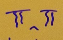 ᴺᴬ໒꒱ tweet media