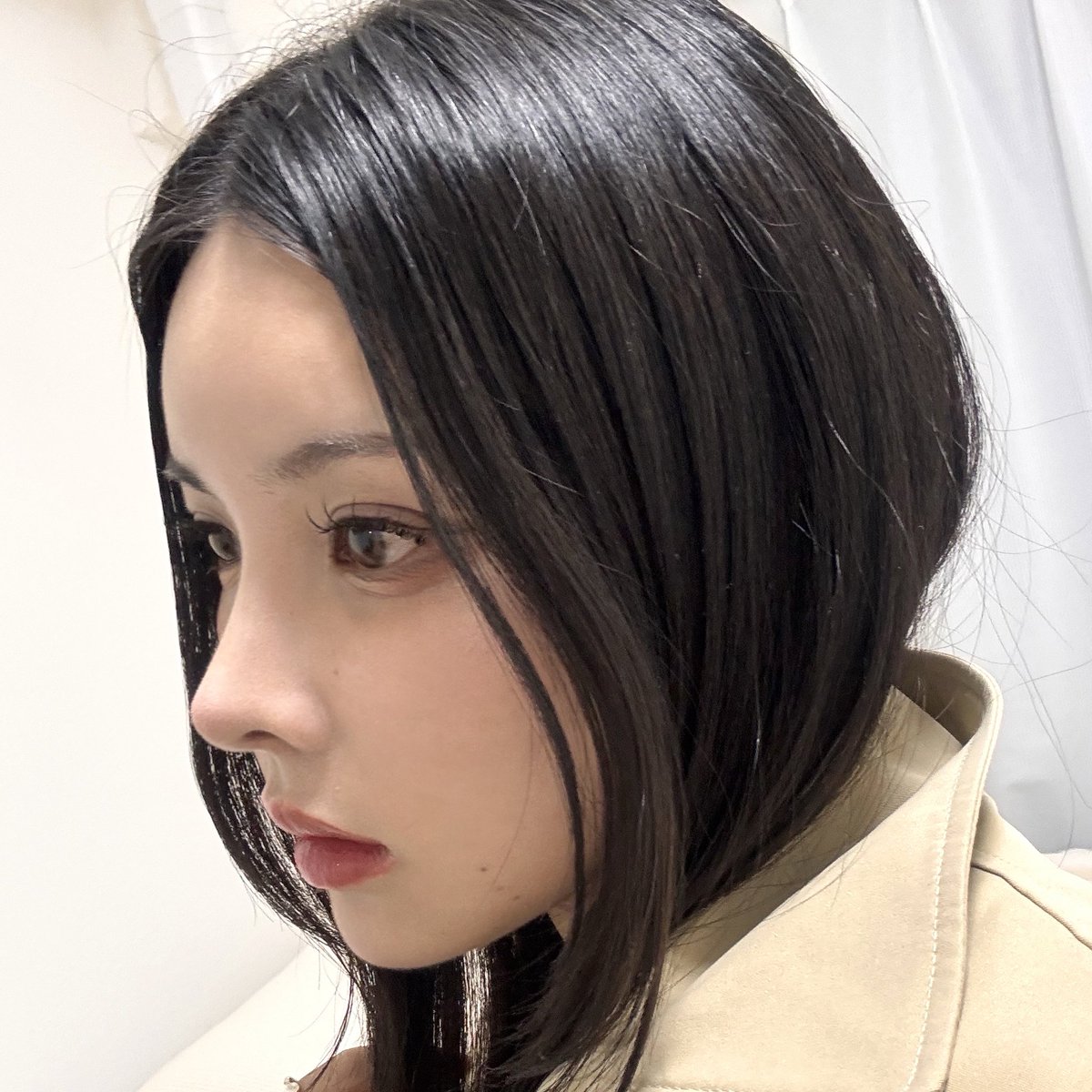 😸@鼻フル脂肪移植DT中 tweet media