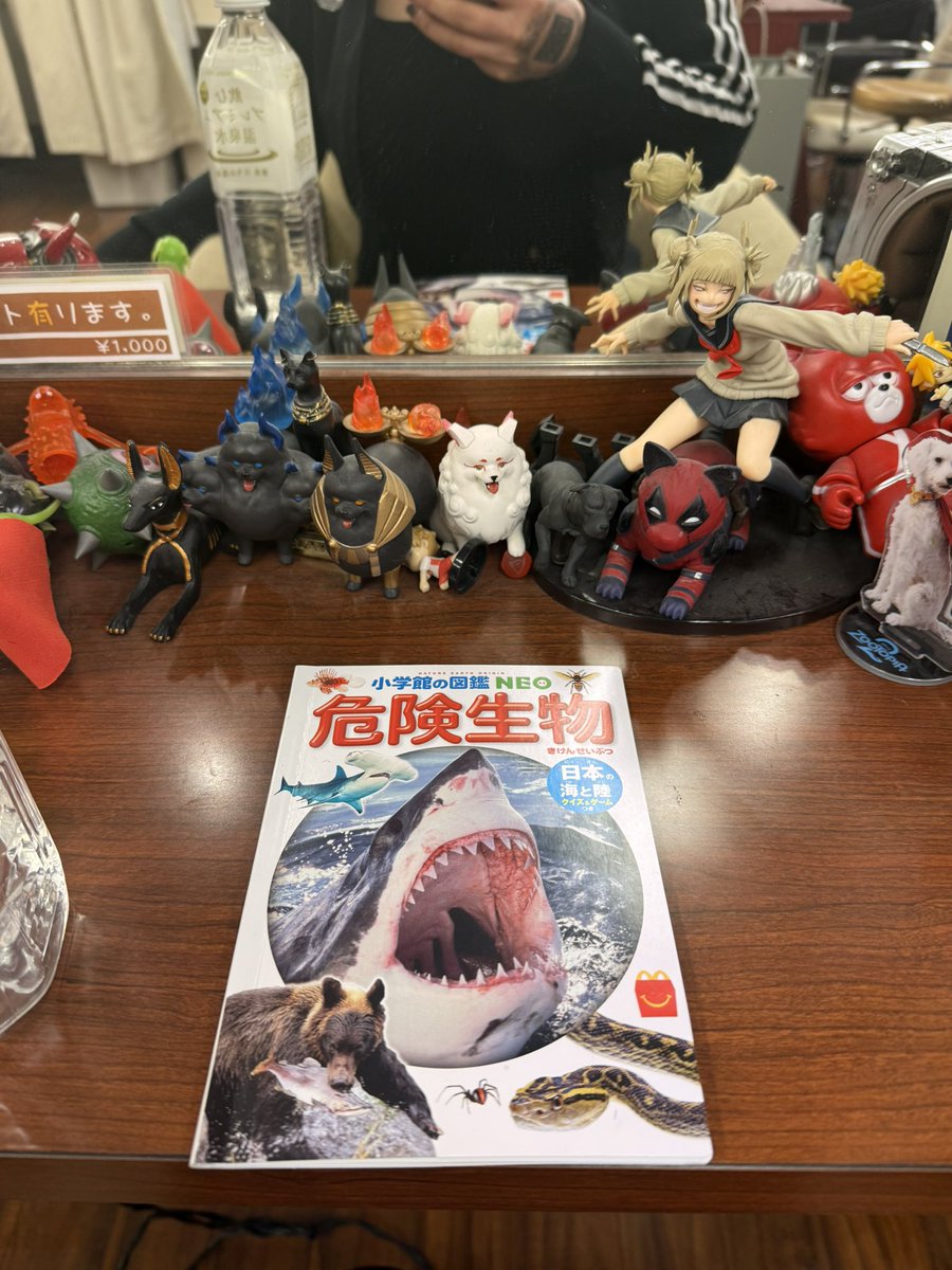 のうがみまい🦄❤️🔥 tweet media