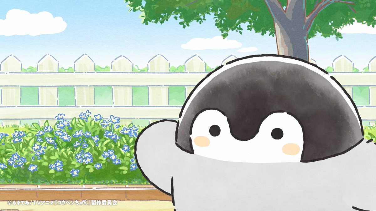 TVアニメ『コウペンちゃん』公式 tweet media