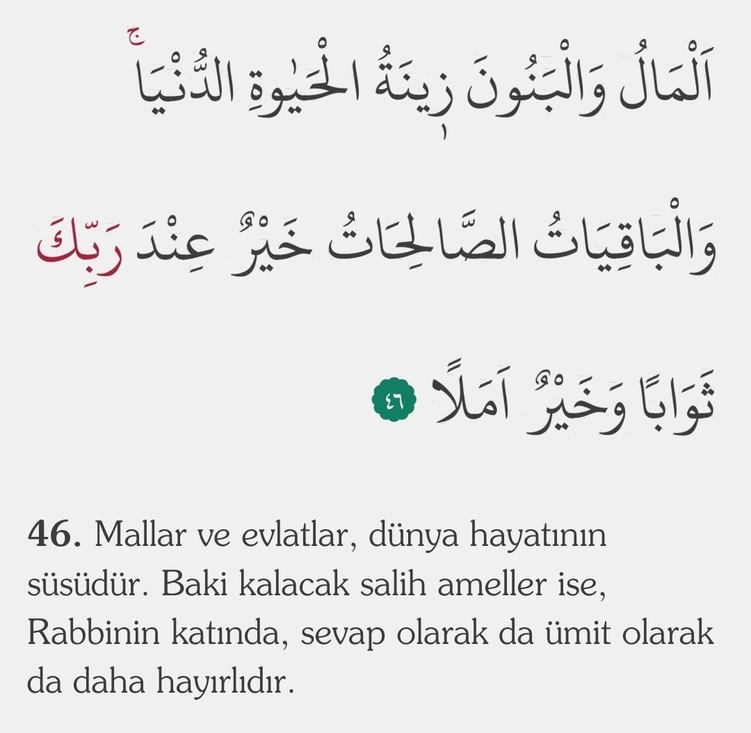 محمود tweet media