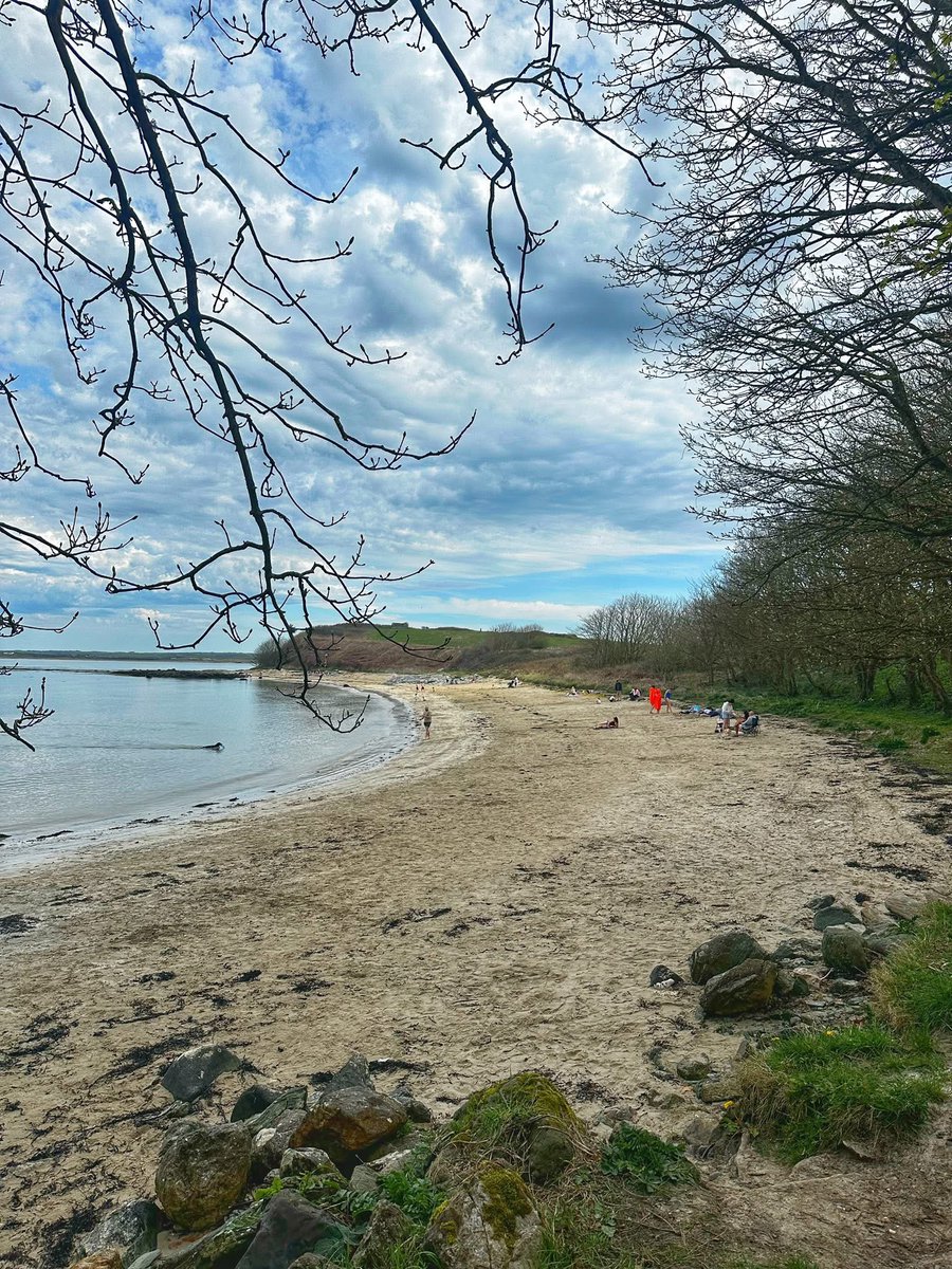 ACHUB PENRHOS / SAVE PENRHOS NATURE RESERVE 🍃💚🍃 tweet media