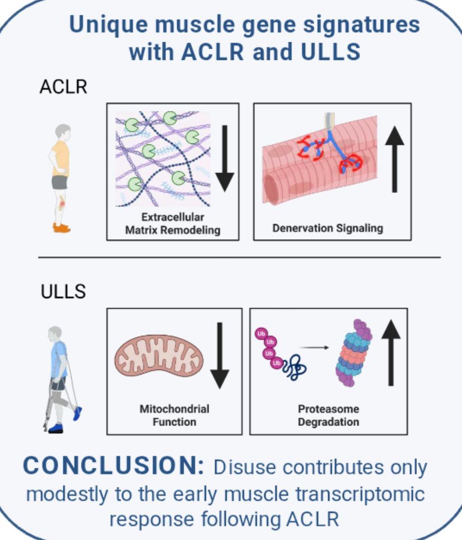 Physio Explored tweet media