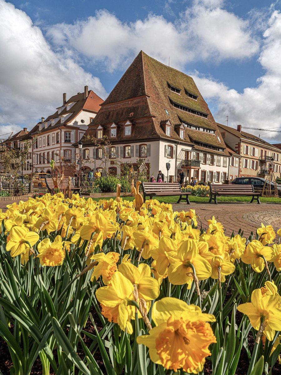 novaworld tweet media