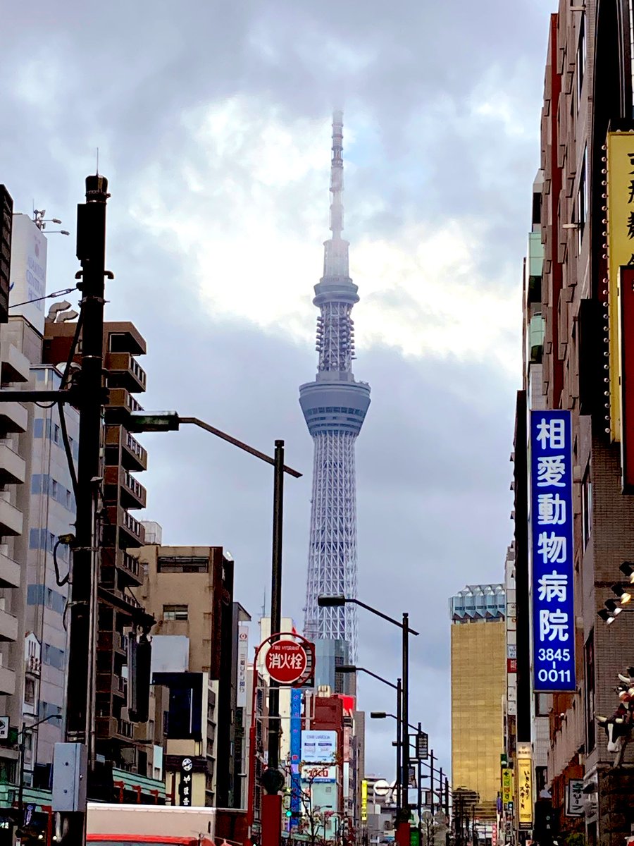 ｹﾝ･ｻﾞ･ﾒﾀﾙ☆ tweet media