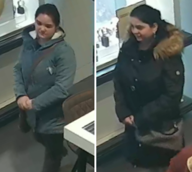 Opa des Vaderlands tweet media