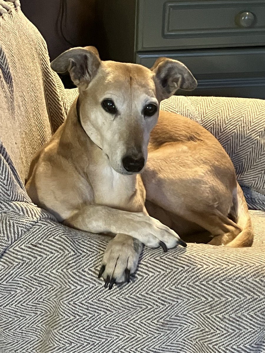 Gwydir Castle tweet media