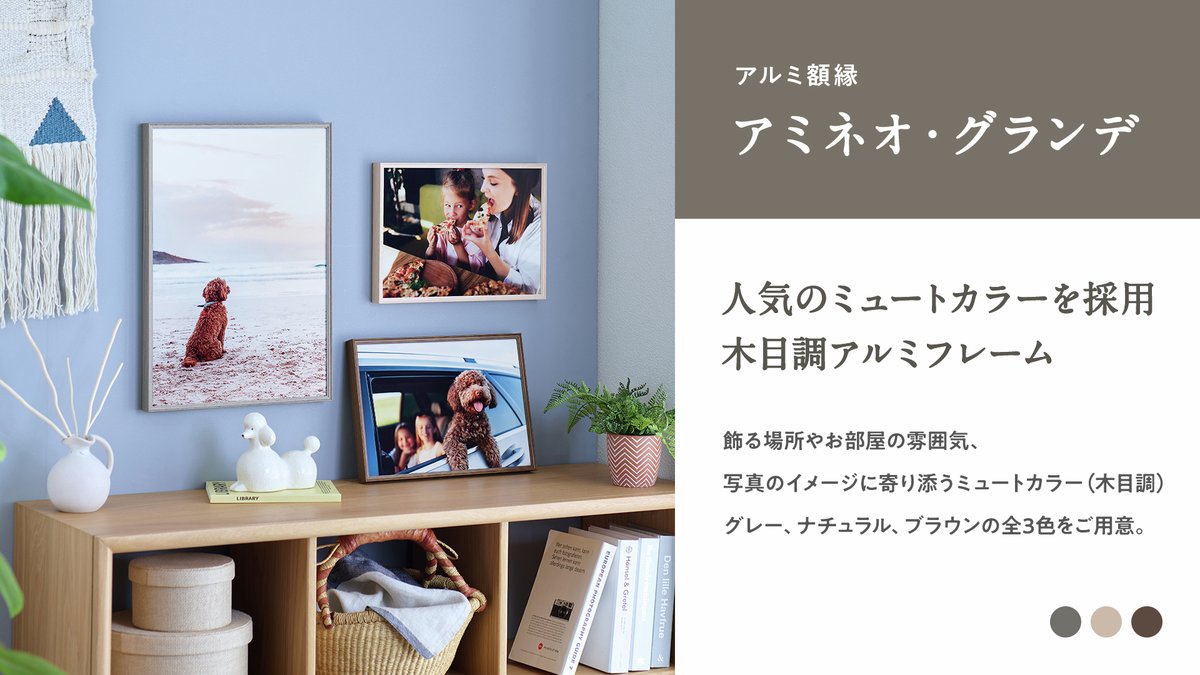 Kenko Tokina【公式】カメラアクセ情報📸 tweet media