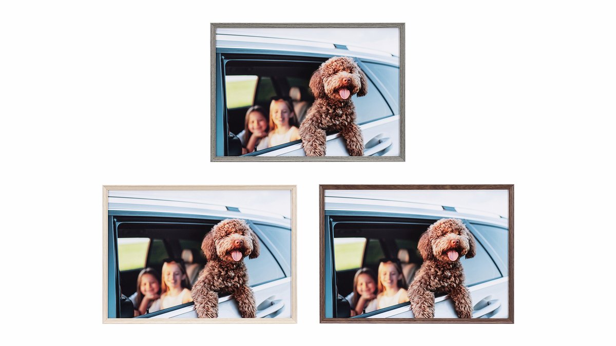 Kenko Tokina【公式】カメラアクセ情報📸 tweet media