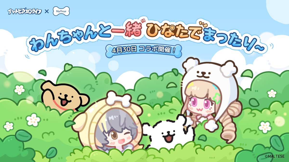 『ハートピアスローライフ』✖『MALTESE』コラボ🐕️、
4月30日(木)より開催予定！

春のあたたかな陽だまりで、🐶わんちゃんと一緒に遊ぼう！

#ハートピア #MALTESE