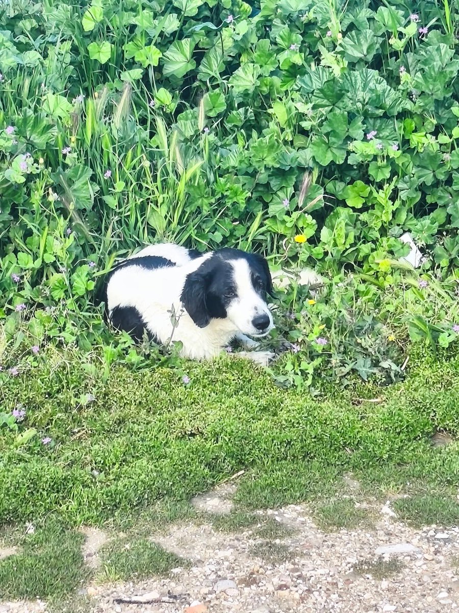 elina mpounia tweet media