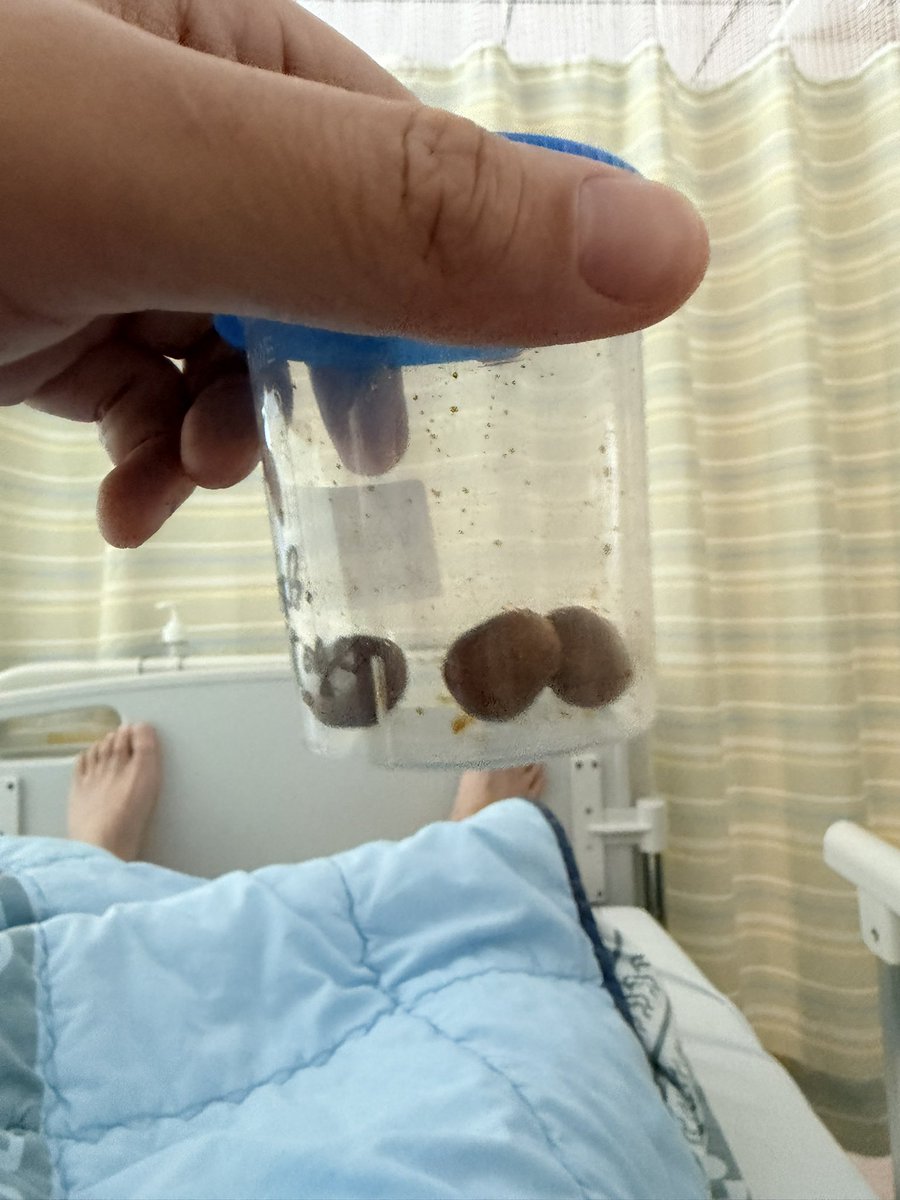 호두아빠($TSLA$) tweet media