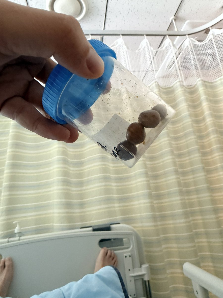 호두아빠($TSLA$) tweet media