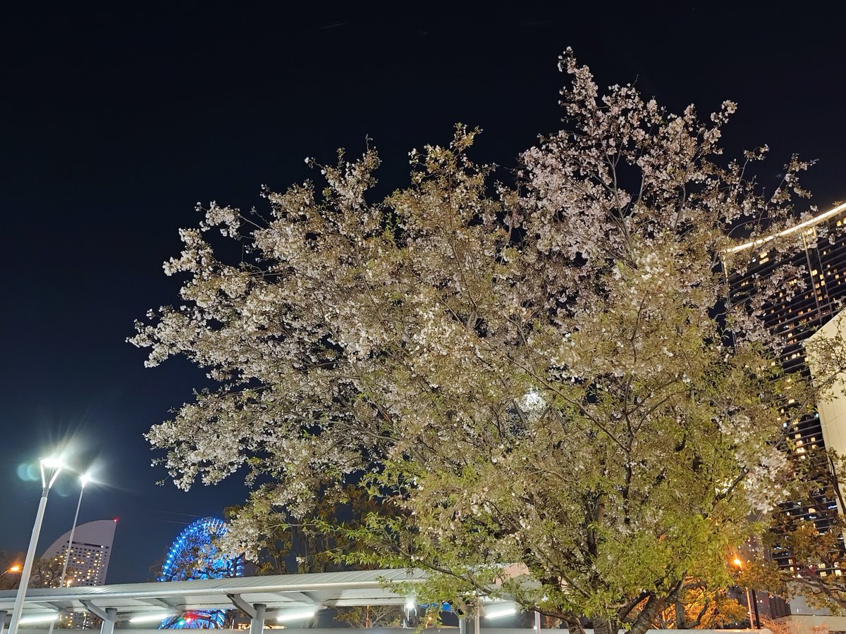 横浜銀行【公式】 tweet media