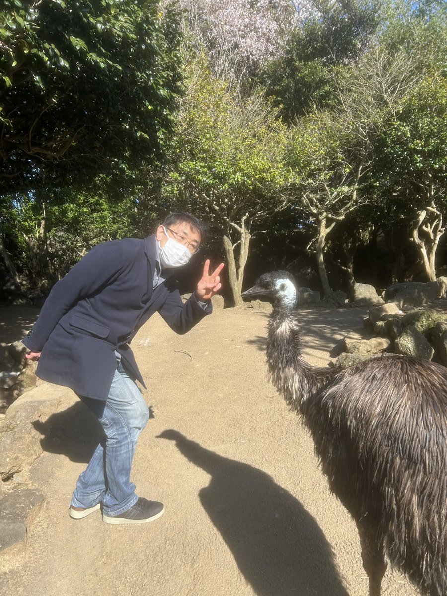 常盤昌平 tweet media