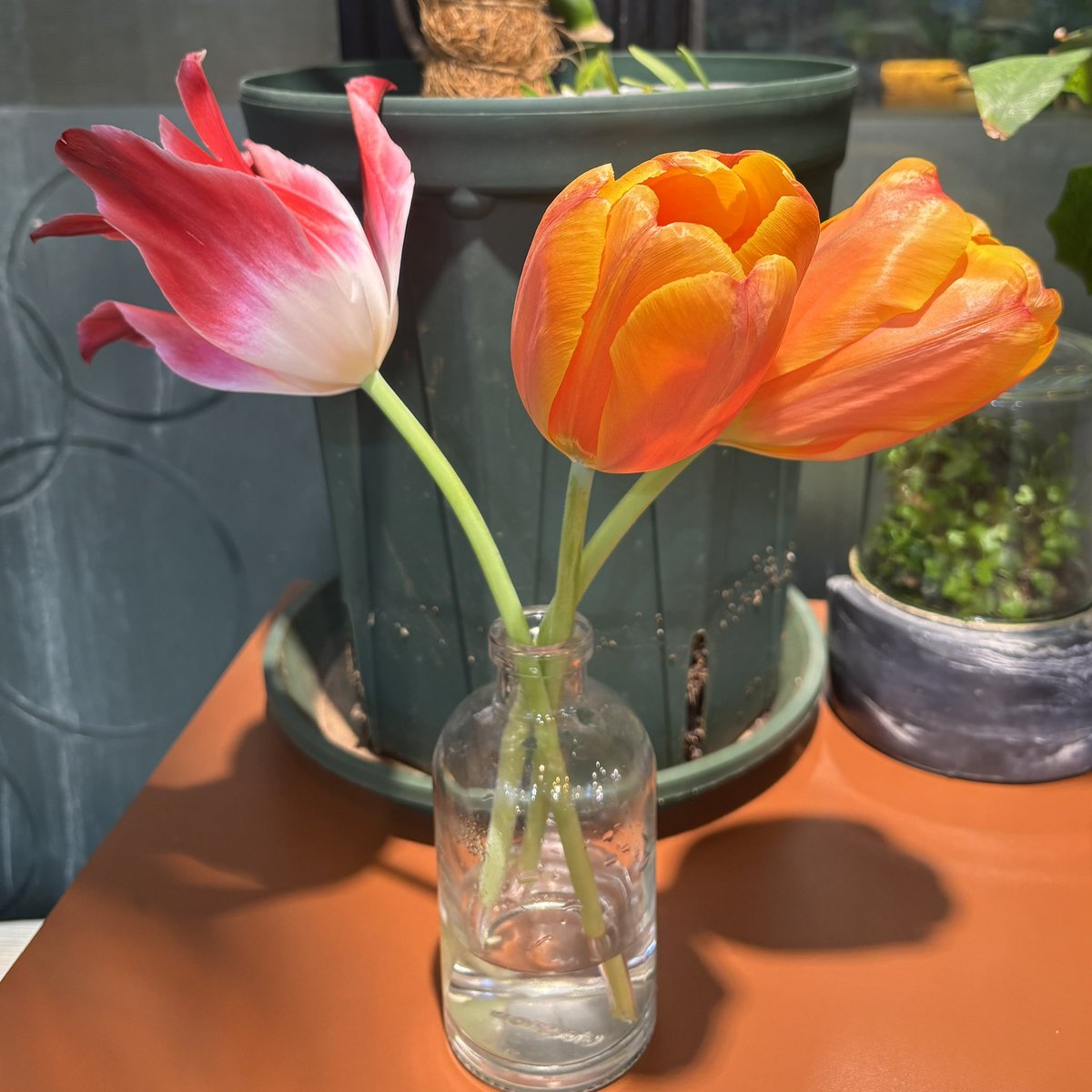 불만많은 애 tweet media