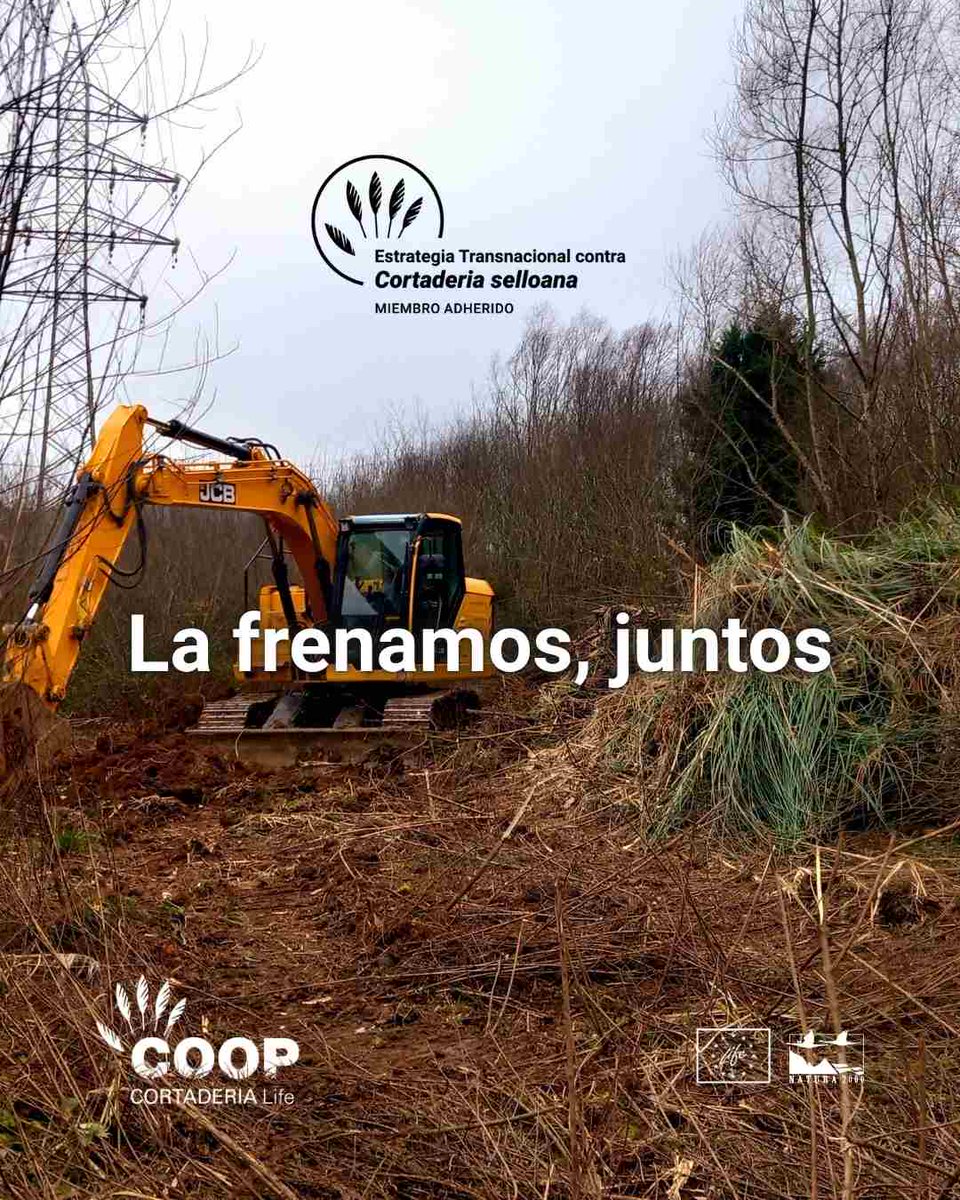 LIFE COOP Cortaderia tweet media