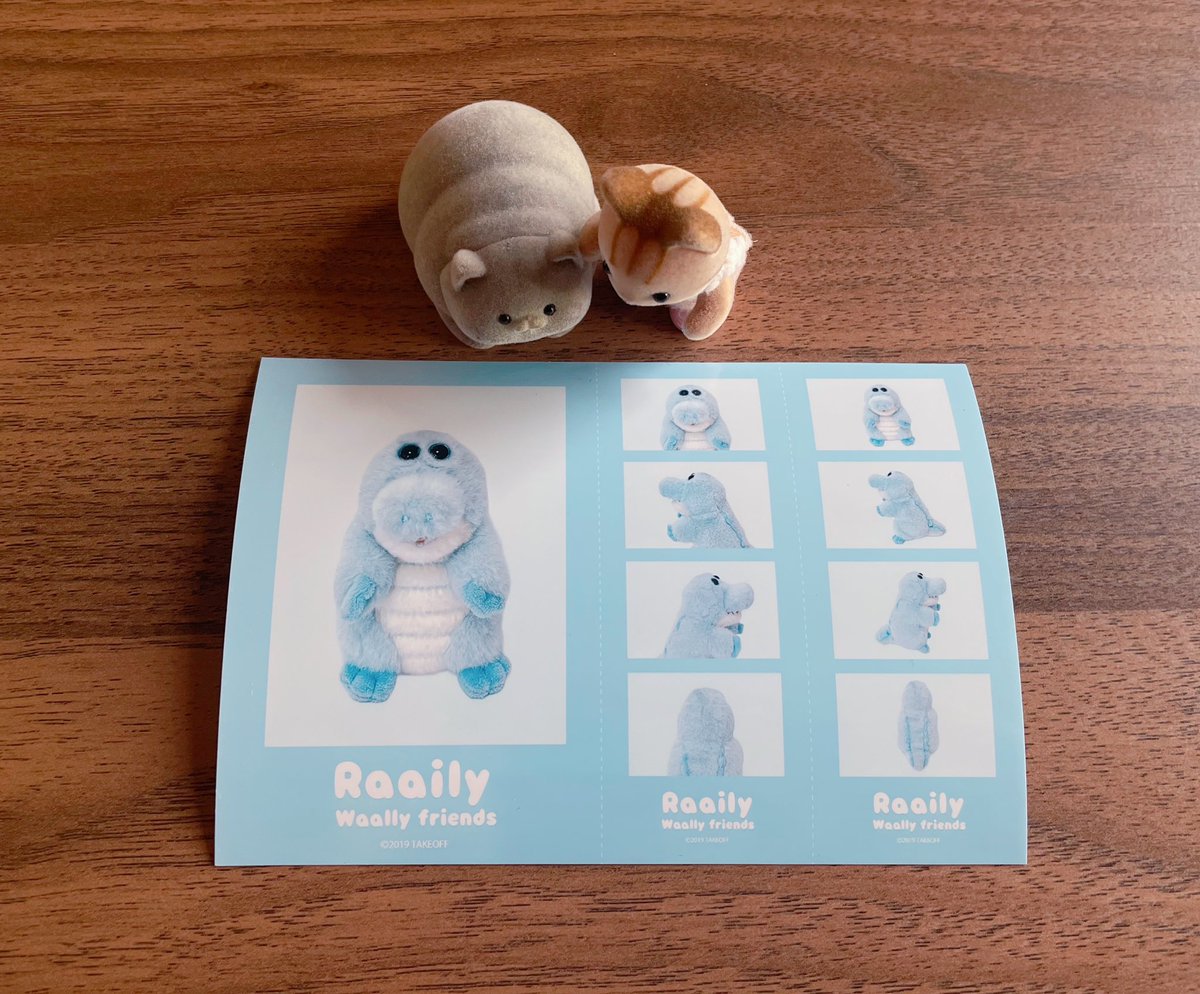 みるき~🍬 tweet media