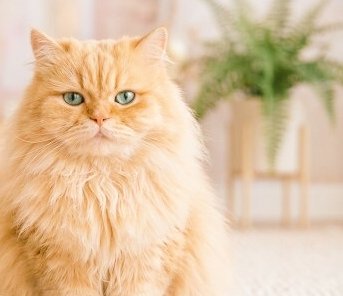 耕の助♪#*(こうのすけ) tweet media