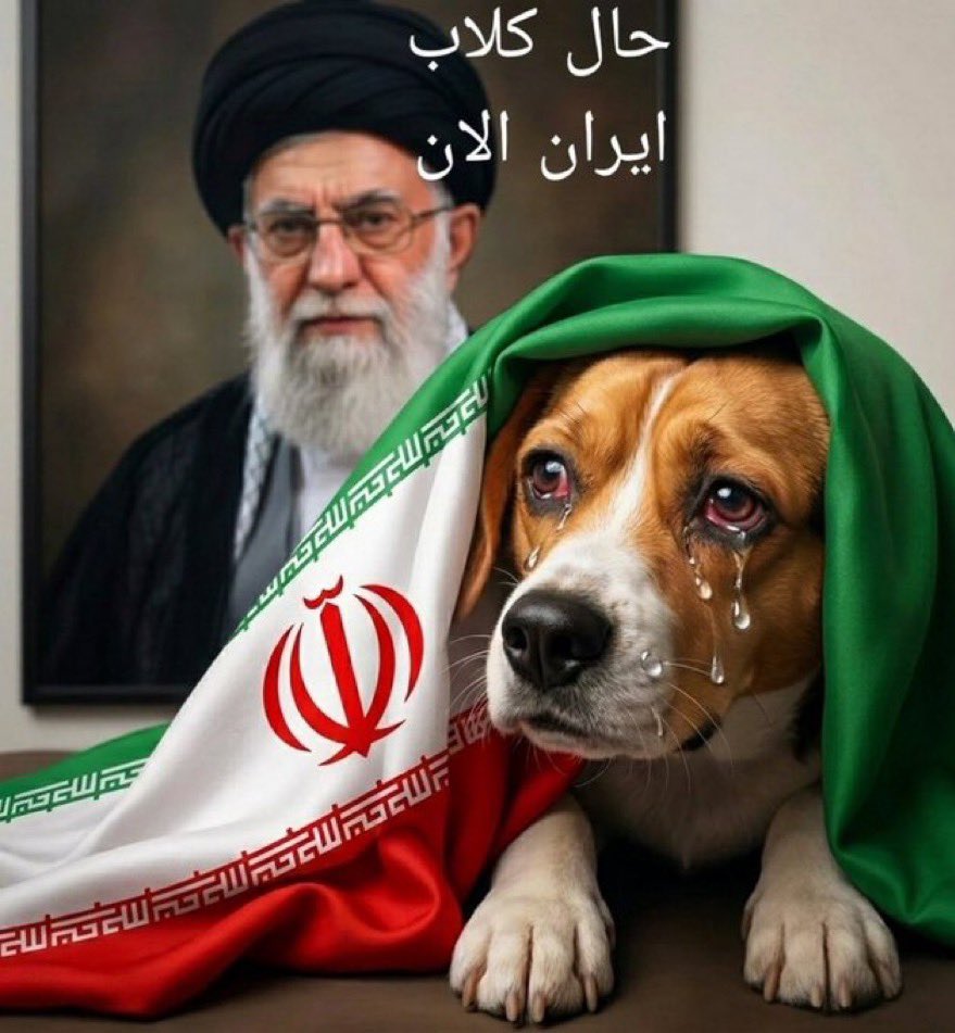 نظرة بعمق tweet media