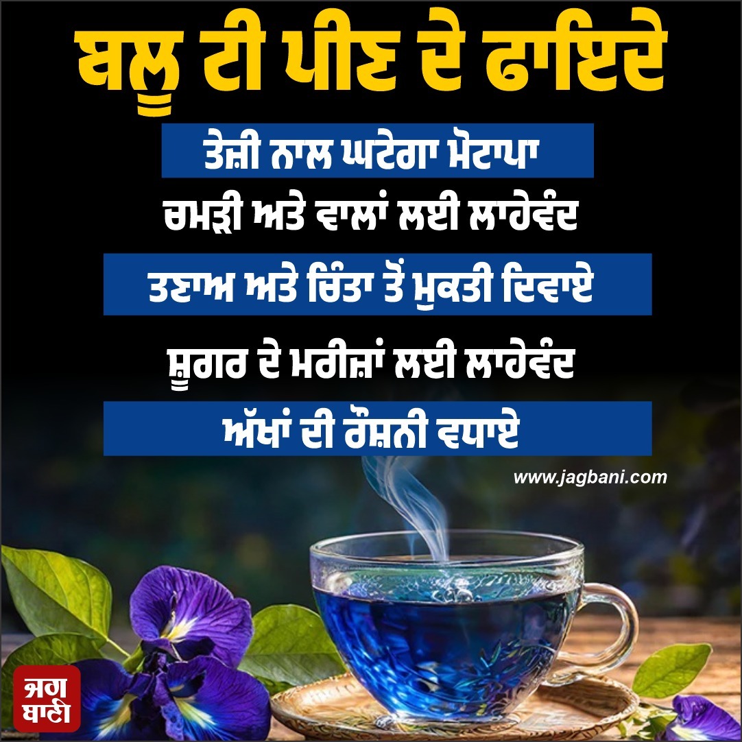 JagbaniOnline's tweet image. ਬਲੂ ਟੀ ਪੀਣ ਦੇ ਫਾਇਦੇ
#Bluetea #benefits #healthtips