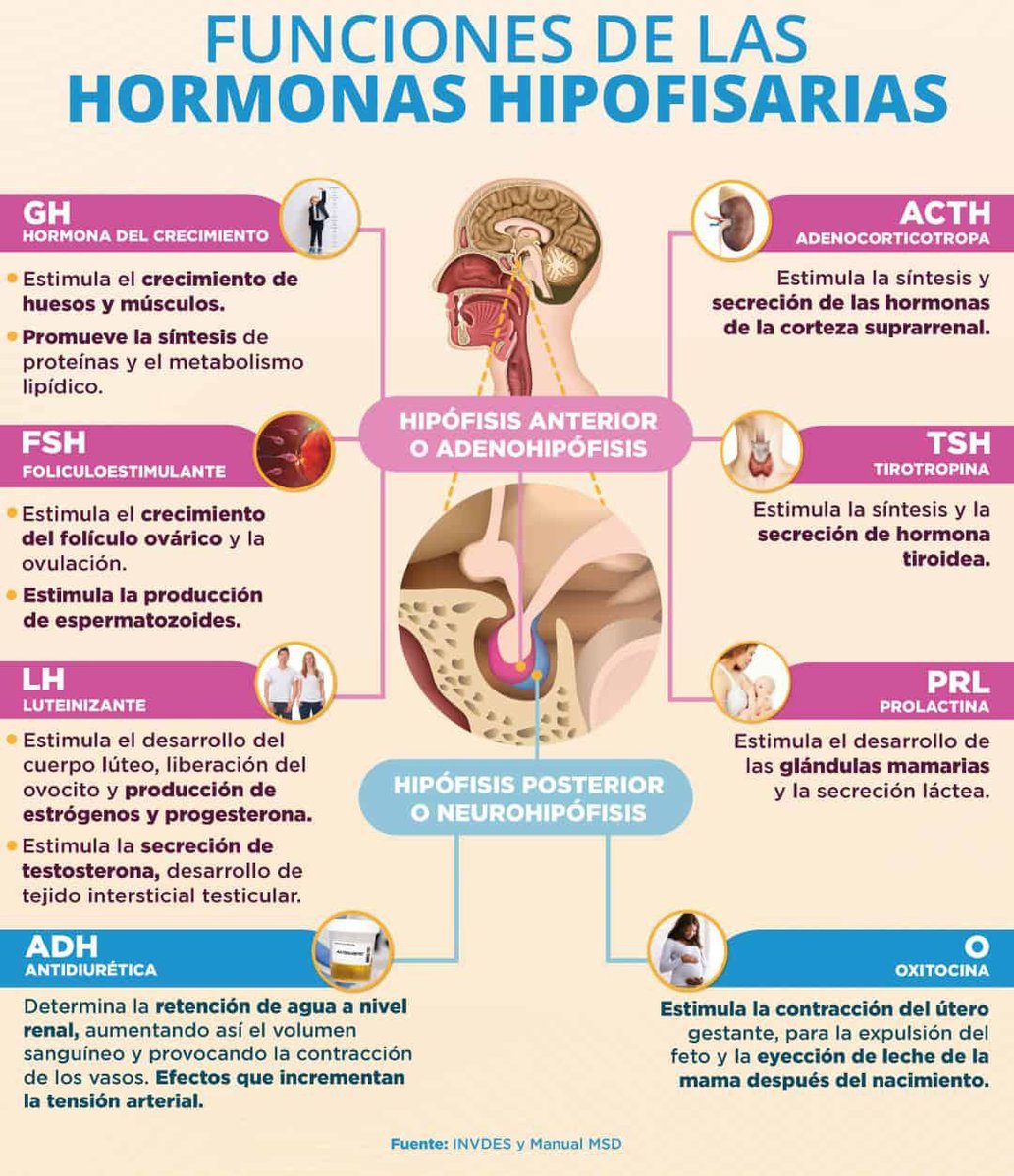 Catéter Doble Jota tweet media