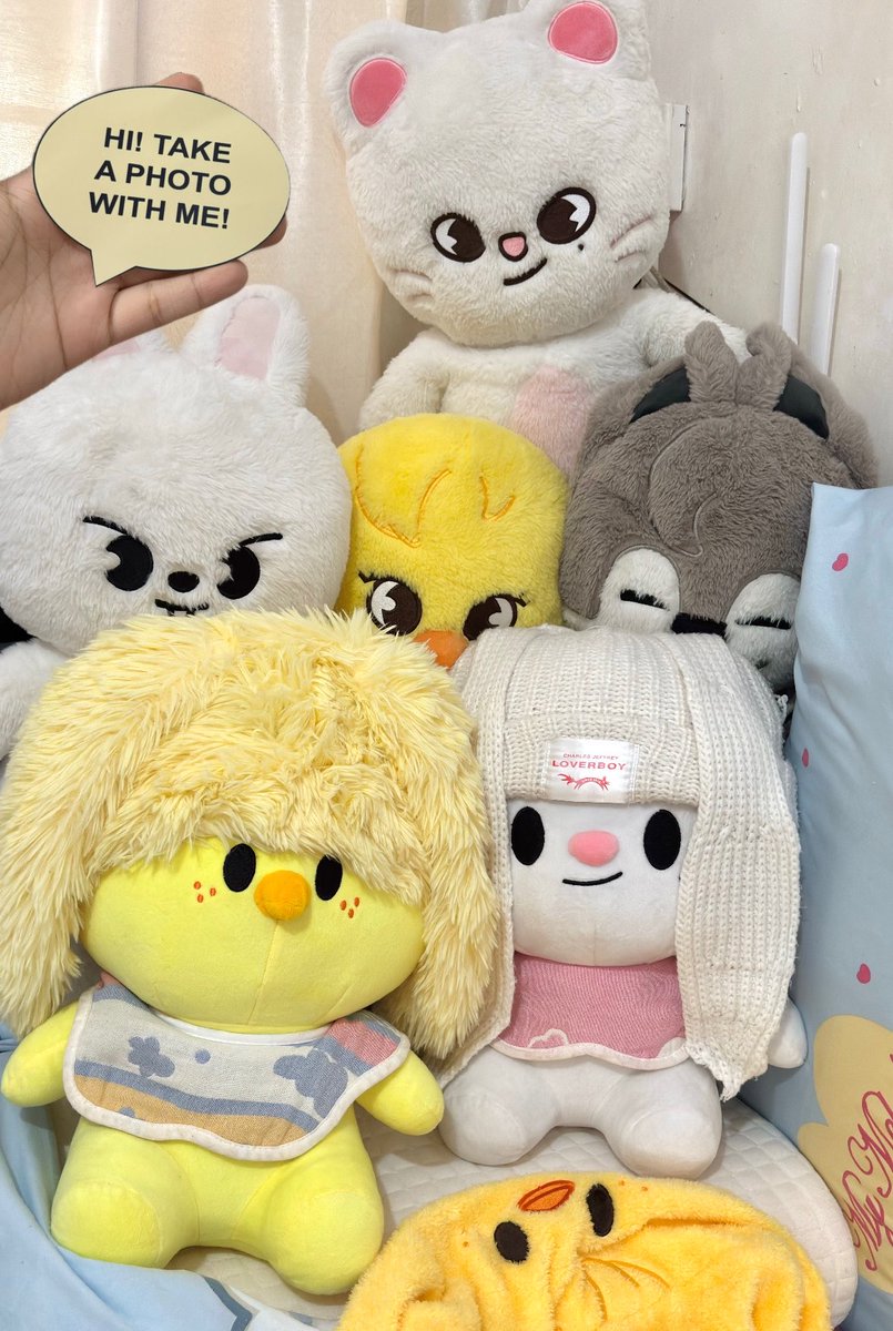 dane 🥟🐥 tweet media