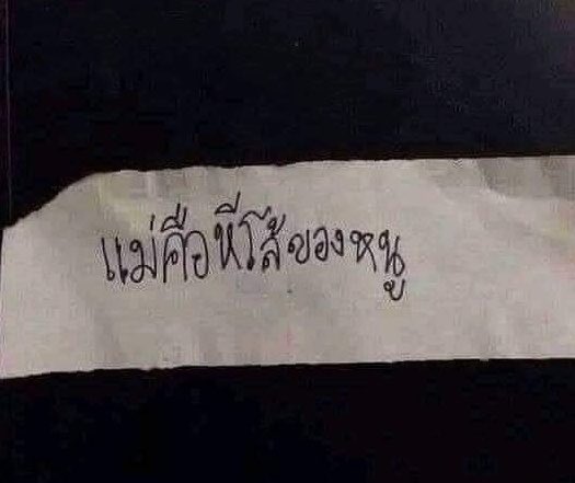 สองฮะ tweet media