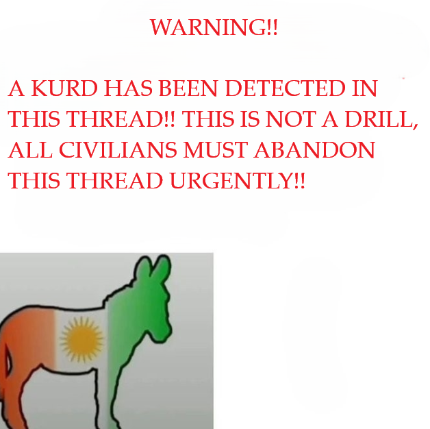 ✦ Felipe ✦ Valiente ✦ tweet media