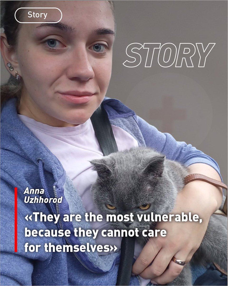RedCrossUkraine's tweet image. 💛 Anna, twice displaced by war in #Ukraine, fled to Uzhhorod with her cat Bonia and just one bag of essentials. Thanks to the Ukrainian Red Cross &amp;amp; @humaneworldorg, IDPs like her can get food &amp;amp; care for their pets 🐱 #IDPs #PetCare