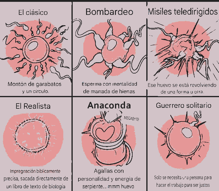 ⟣ ᅠᅠ ݁ 𝓒͟𝚊𝚙𝚝𝚊𝕚𝚗 𝕰𝚞͟𝚕͟α ．𖥔 tweet media