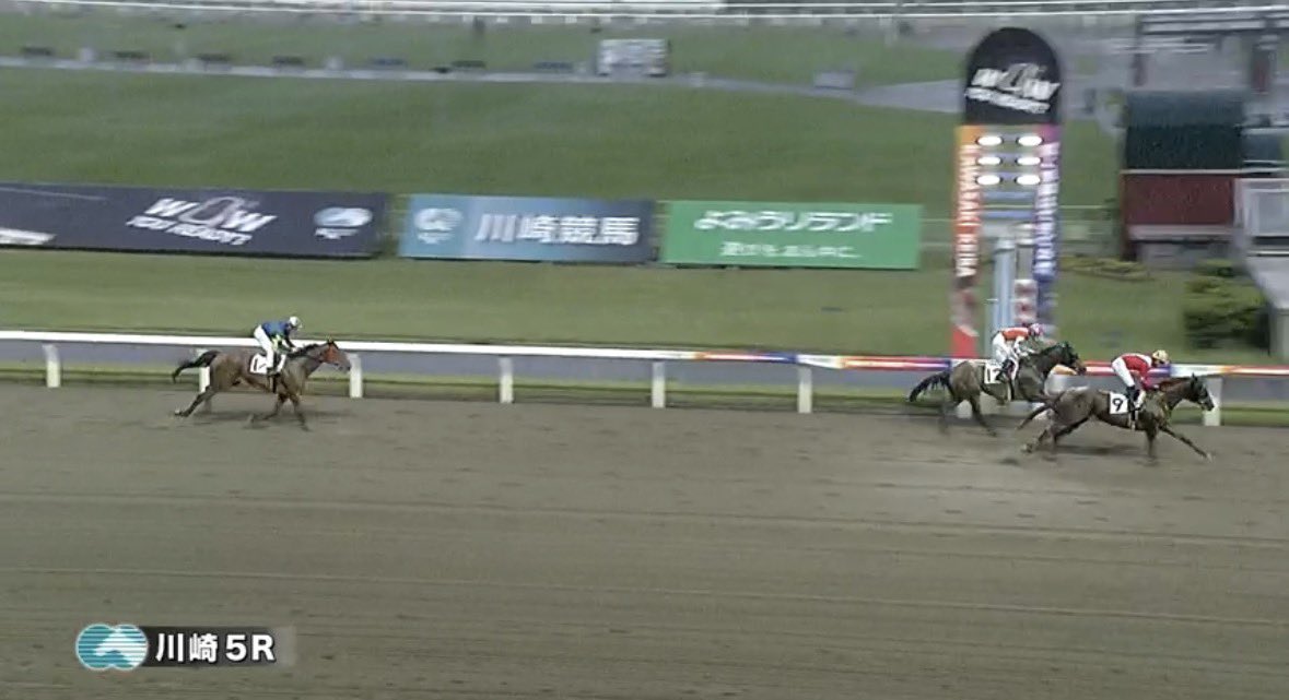 れいな 競馬予想/穴頭 tweet media