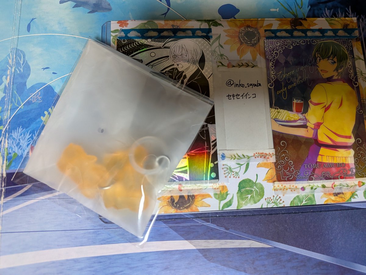 セキセイインコ tweet media