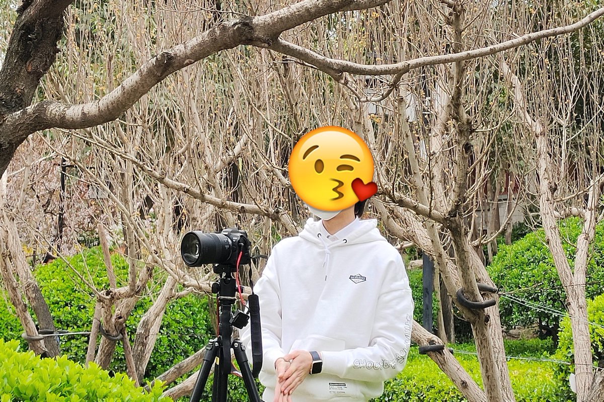 一只sp小透明 tweet media
