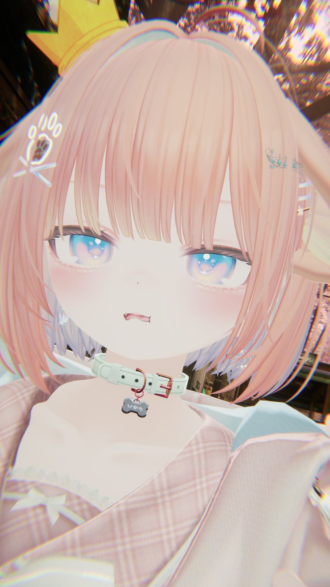 ひなた🐾 tweet media