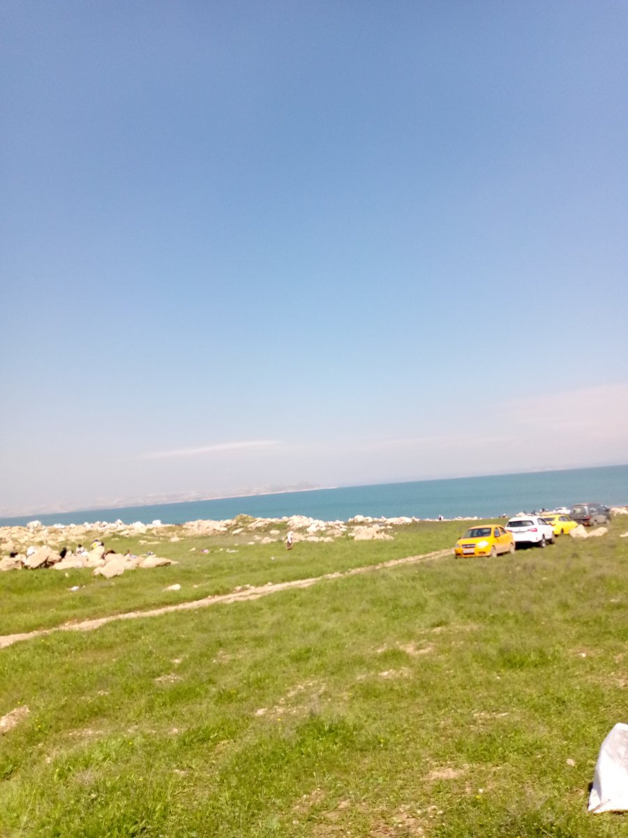 ليلى🇮🇶 tweet media