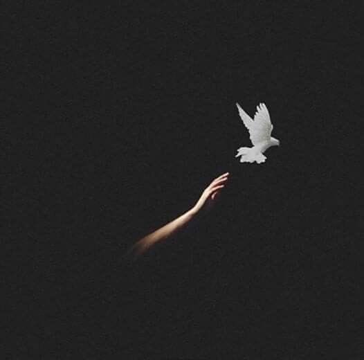 ossobold's tweet photo. “Ve işte, söyledikleri her şeyin arkasında duran insanların özelliği... Onlar, herkesin de aynısını yaptığını düşünüyorlar.”

— Khaled Hosseini https://t.co/OAkvu2CGbQ
