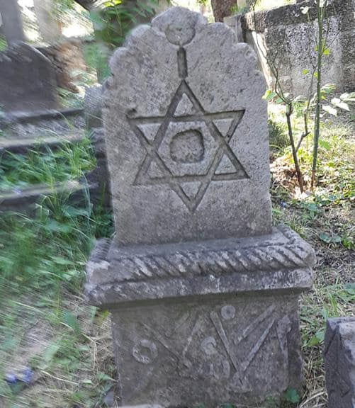 Elvan Kılıç tweet media