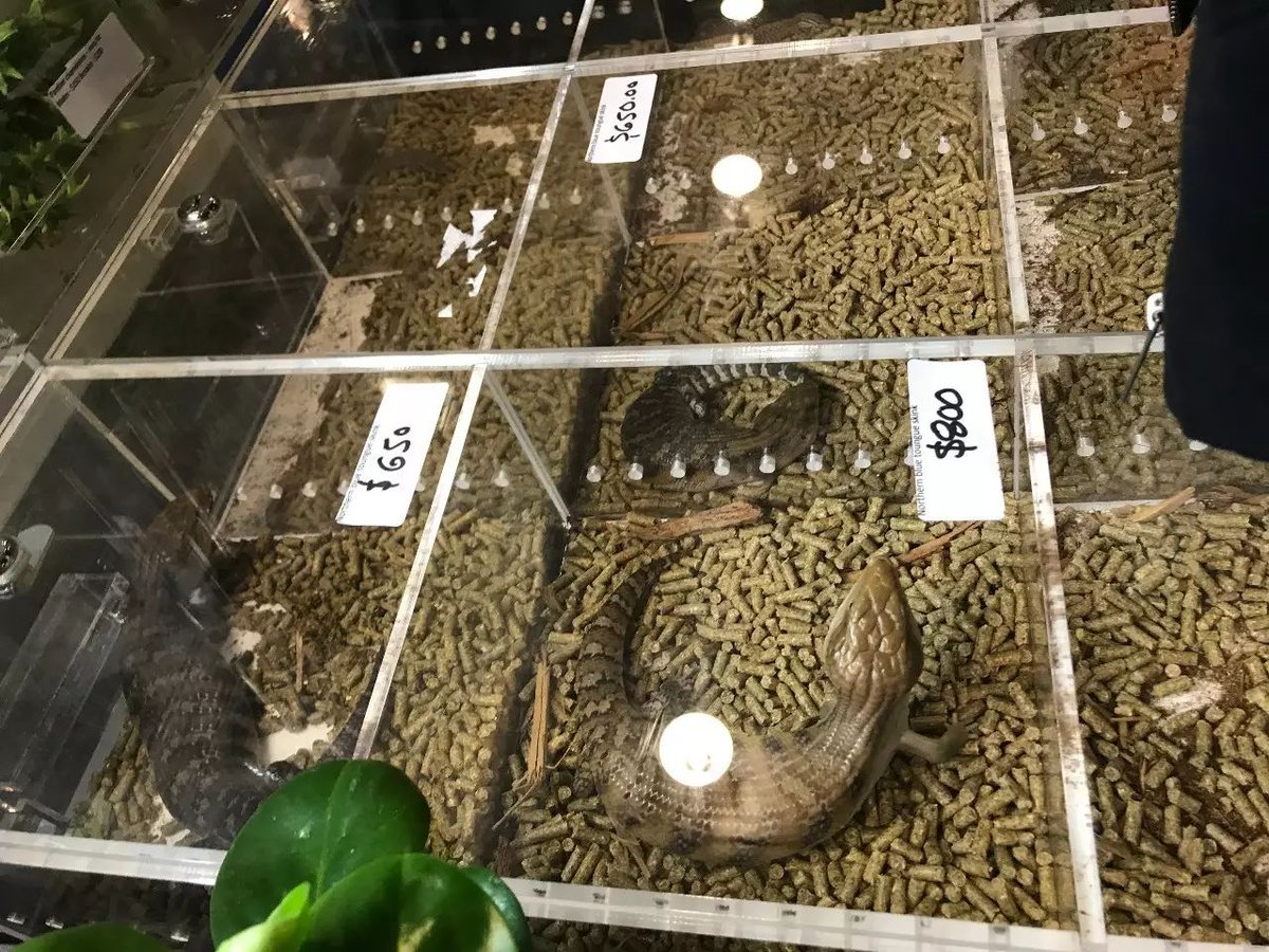 louise hunter tweet media